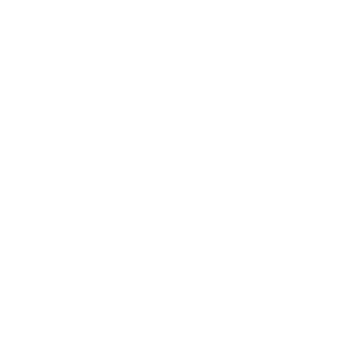 Garmin company logo