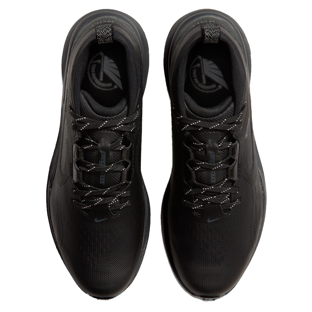 NIKEPEGASUSBLK-3