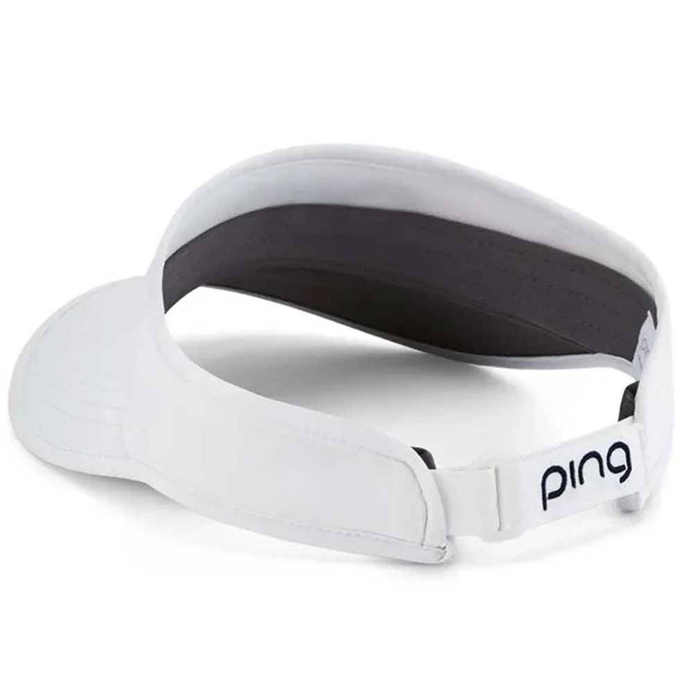 PINGVISOR.2