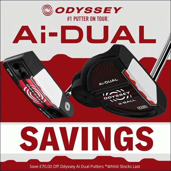 ODYSSEY-AI-DUAL-SAVINGS