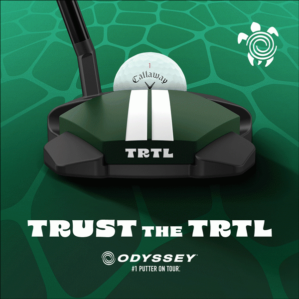 ODYSSEY-TRTL